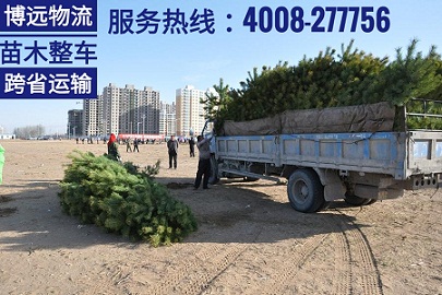 長沙至河南開封8噸植物跨省運輸.jpg 長沙至河南開封8噸植物跨省運輸.jpg