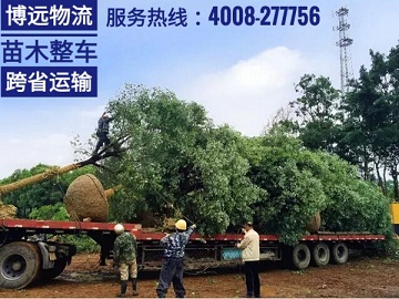 整車直達(dá)安全保時效 4008-277756.jpg 整車直達(dá)安全保時效 4008-277756.jpg