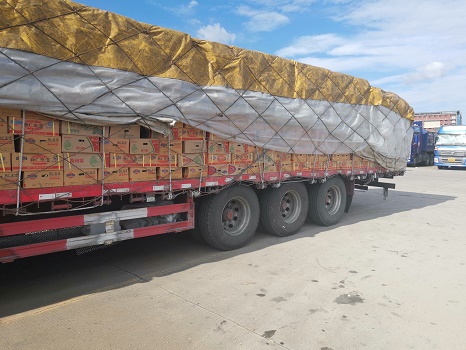 哈密瓜運�?.jpg 哈密瓜運�?.jpg